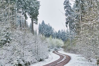 Road amidst trees in forest during winter