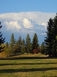 Scenic view of grassy field against cloudy sky