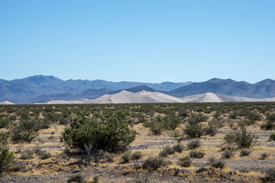 Scenic view of landscape against clear sky