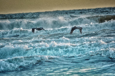 Man swimming in sea against sky