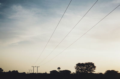 Silhouette trees and telephone poles against sky during sunset