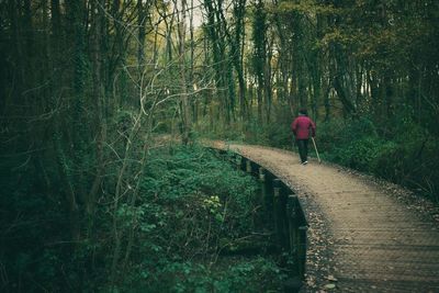 Rear view of senior man walking on footpath in forest