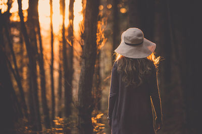 Rear view of woman standing in forest along tree trunks