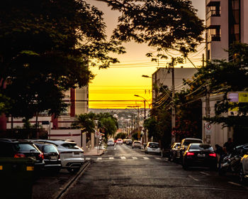 Cars on city street by buildings against sky during sunset