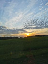 Scenic view of field against sky during sunset