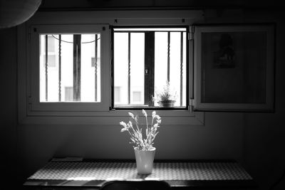 Close-up of flower vase against window