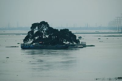 Boats sailing in sea