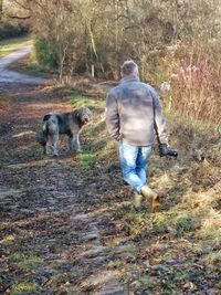 Rear view of man walking with dog