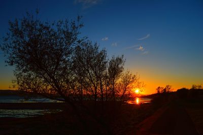 Silhouette trees on landscape against sky at sunset