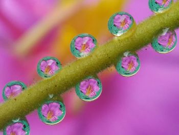 Close-up of colored background