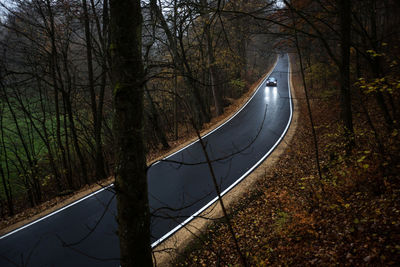 Street amidst trees in forest during autumn