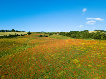 Scenic view of field against blue sky