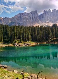 Scenic view of lake by trees against sky