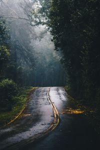 Road amidst trees in forest