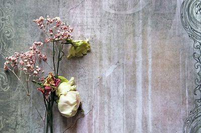 Close-up of flowers