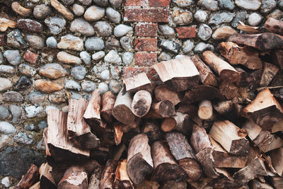 High angle view of logs in forest