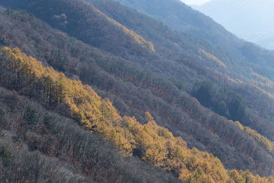 Scenic view of the autumn mountains