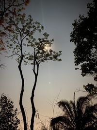 Low angle view of silhouette tree against sky at sunset