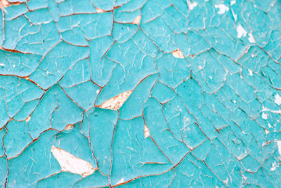 Full frame shot of cracked leaf