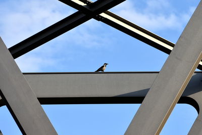 Low angle view of birds on bridge against sky