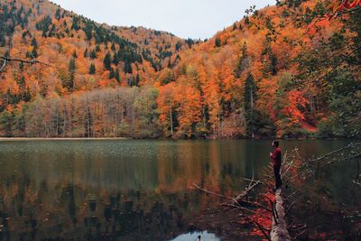 Scenic view of lake by trees during autumn