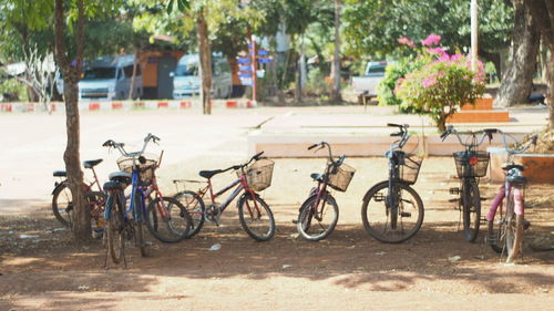 Bicycles on bicycle parked against trees