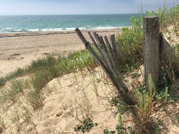 Wooden fence on beach