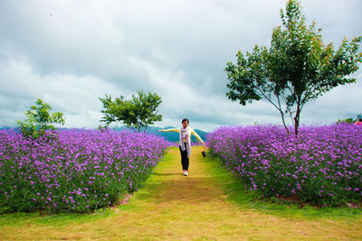 Woman standing amidst purple flowers against cloudy sky