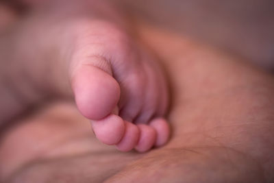 Cropped image of father holding baby foot