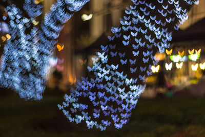 Butterfly shaped christmas lights