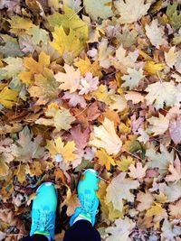 Low section of person standing on dry maple leaves