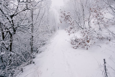 cold temperature