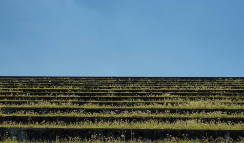 Low angle view of farm against clear blue sky