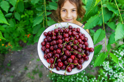 Portrait smiling girl holding bowl of cherries
