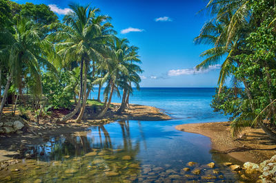 Scenic view of sea against sky