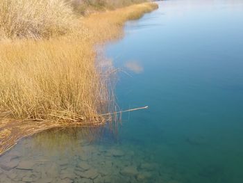 Reflection of lake in water