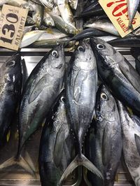 Directly above shot of fishes for sale at market