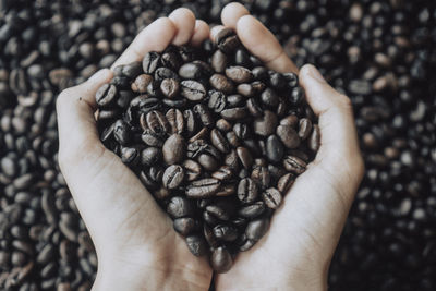 Close-up of hand holding coffee beans