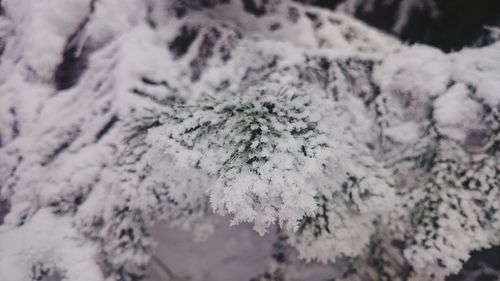 Close-up of snow