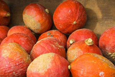 Pumpkins on the field in the countryside