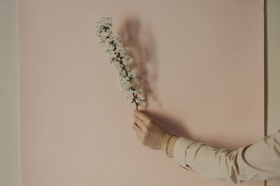 Close-up of woman holding hands against white background
