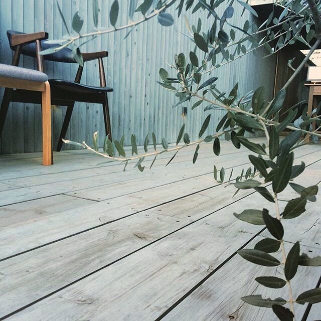 wood - material, wooden, wood, leaf, built structure, house, plank, plant, indoors, table, day, architecture, no people, sunlight, high angle view, boardwalk, hardwood floor, empty, bench