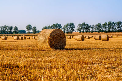 Hay bales on field against clear sky