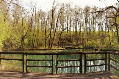 Scenic view of lake in forest against sky