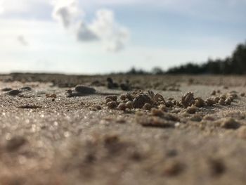 Surface level of ground against sky