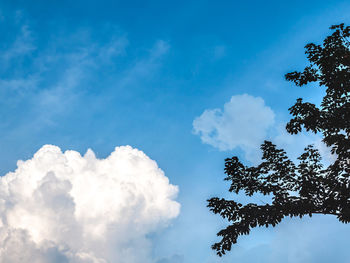 Low angle view of silhouette tree against blue sky