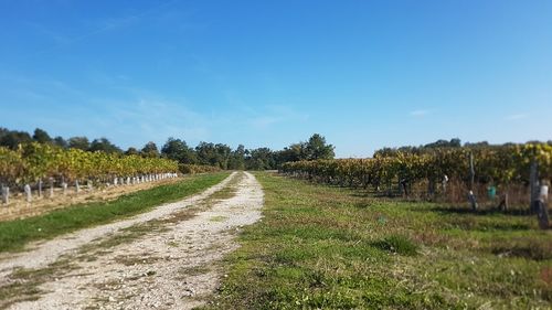 Dirt road amidst field against sky