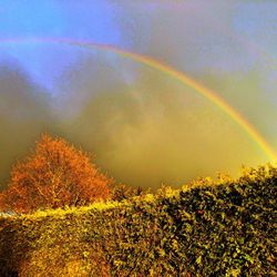 Scenic view of rainbow against sky