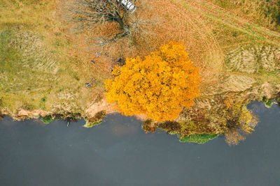 Autumnal scenery at the river in belarus