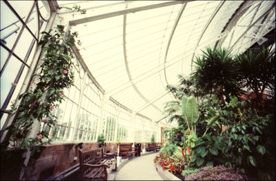 Plants growing in greenhouse against sky